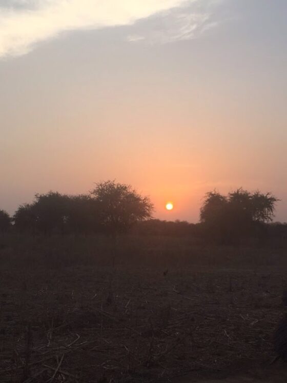 Bathing with the Ancestors